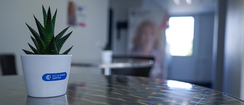 Accueil Campus FC CCI 72