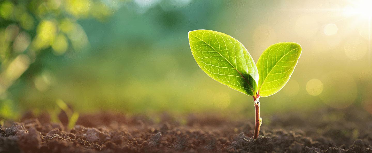 Formation Optimiser la gestion des déchets en entreprise